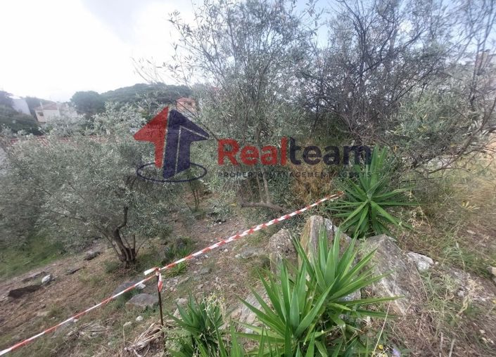 Image No.14-Property for sale