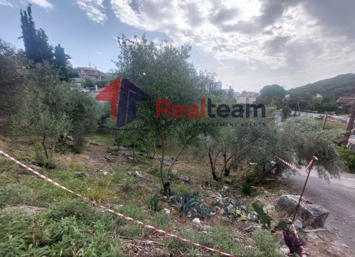 Image No.19-Property for sale