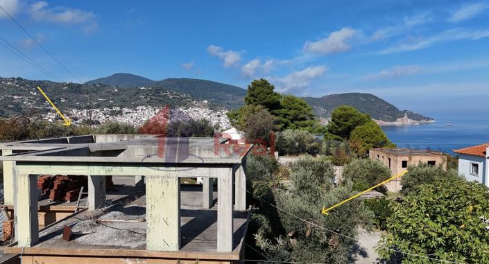 Image No.15-Propriété à vendre à Chora