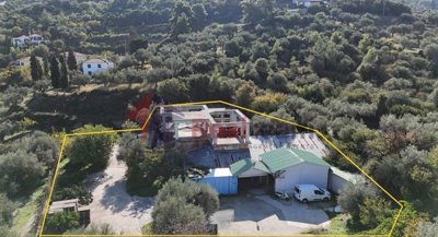 785f8544a9204a43a183d21aacf542f6