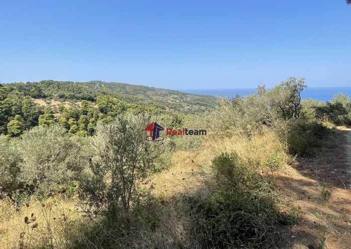 Image No.10-Propriété à vendre à Glossa