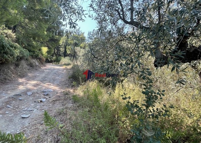 Image No.14-Propriété à vendre à Glossa