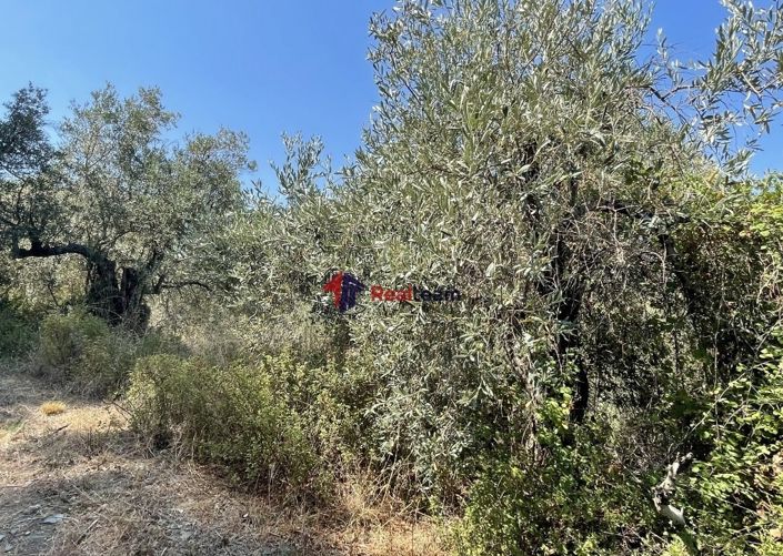 Image No.15-Propriété à vendre à Glossa