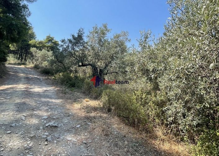 Image No.16-Propriété à vendre à Glossa