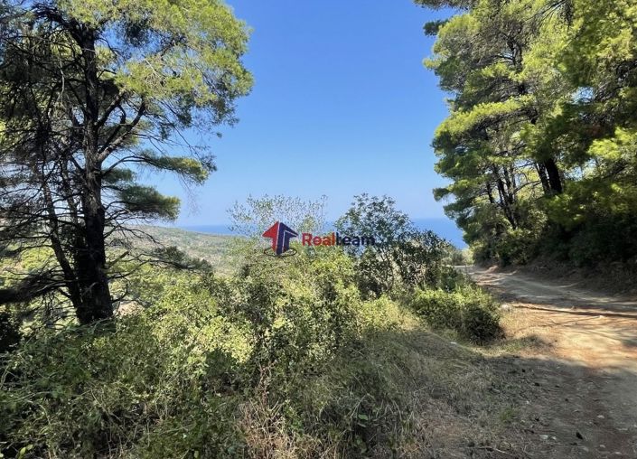 Image No.2-Propriété à vendre à Glossa