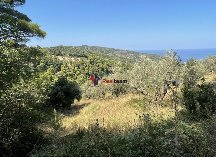 Image No.3-Propriété à vendre à Glossa