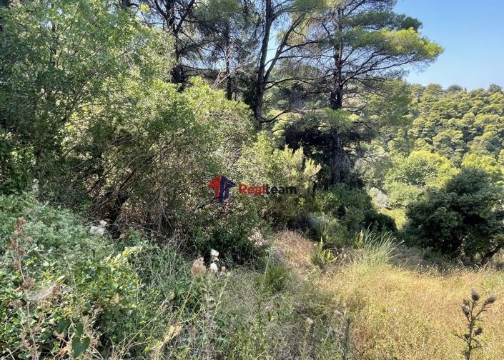 Image No.5-Propriété à vendre à Glossa