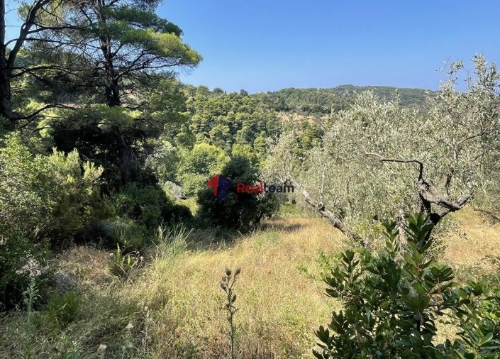 Image No.6-Propriété à vendre à Glossa