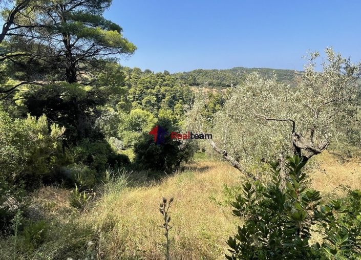 Image No.7-Propriété à vendre à Glossa