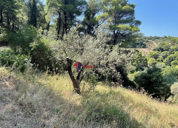 Image No.9-Propriété à vendre à Glossa