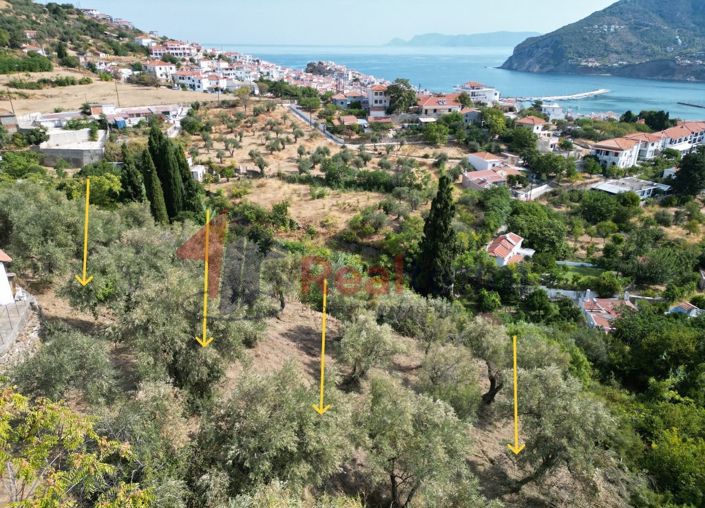 Image No.13-Property for sale