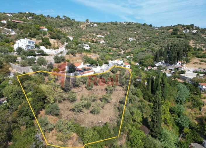 Image No.6-Property for sale