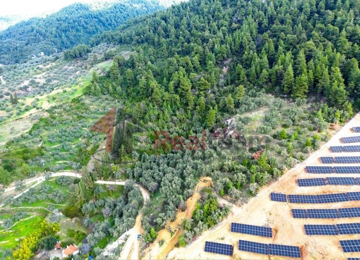 Image No.12-Property for sale