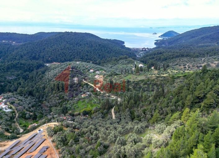 Image No.2-Property for sale