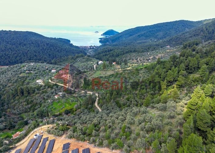 Image No.3-Property for sale