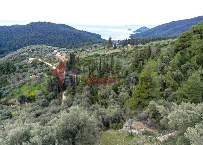 Image No.5-Property for sale