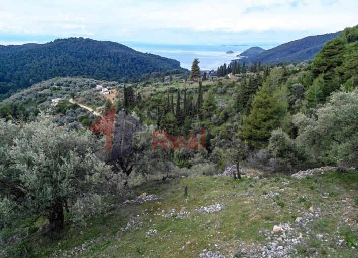 Image No.6-Property for sale