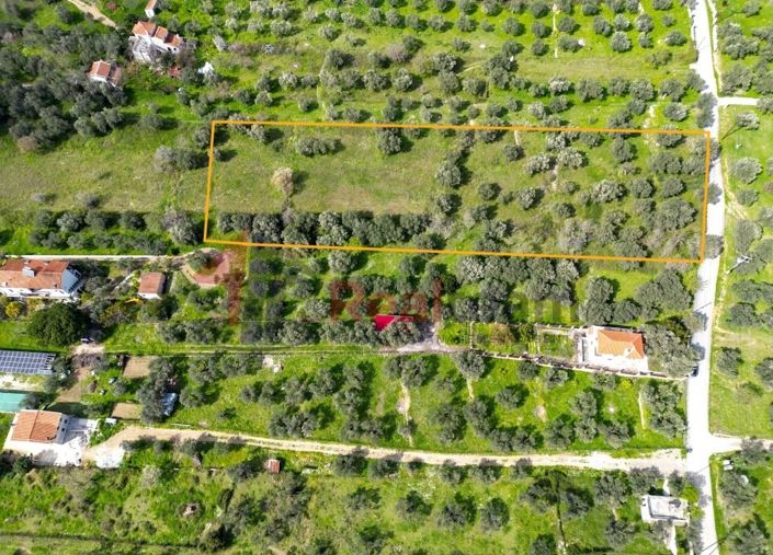 Image No.3-Property for sale