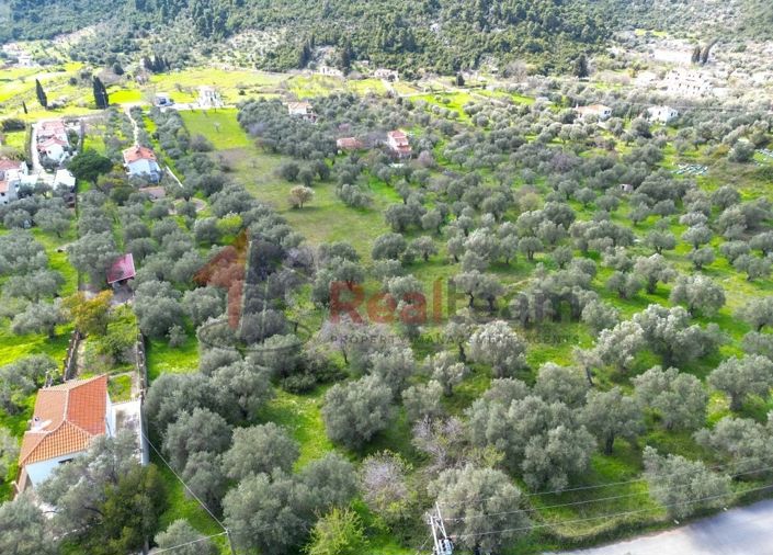 Image No.6-Property for sale