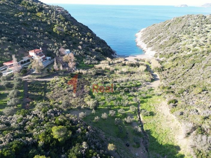 Image No.11-Propriété à vendre à Alonnisos