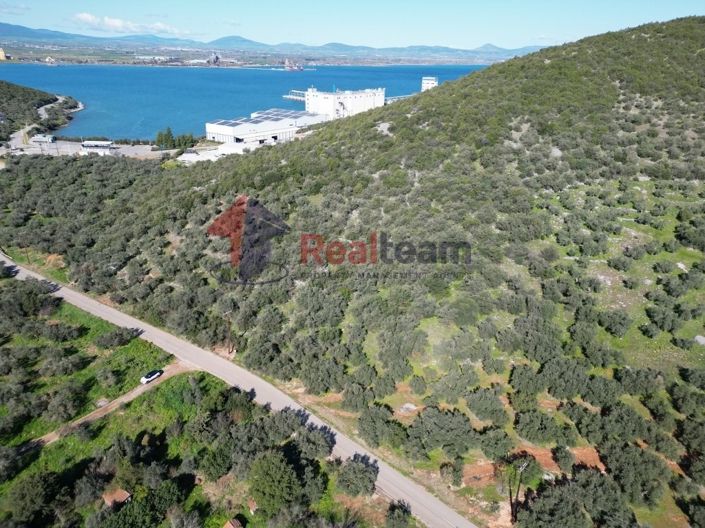 Image No.10-Property for sale