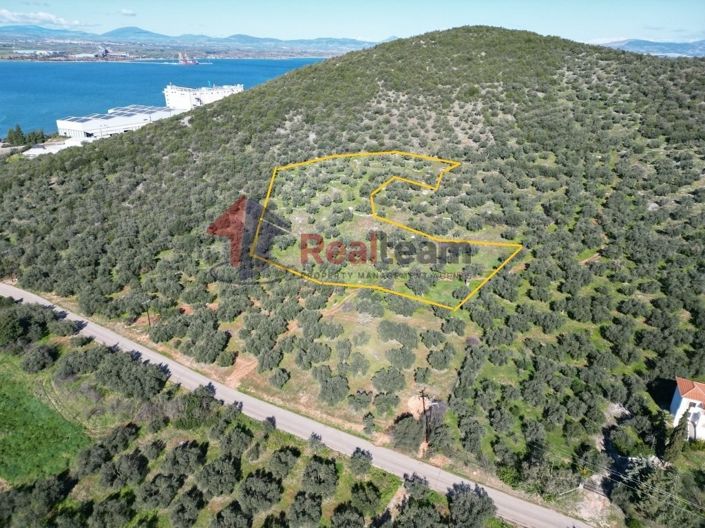 Image No.11-Property for sale