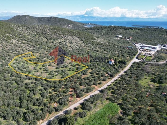 Image No.3-Property for sale