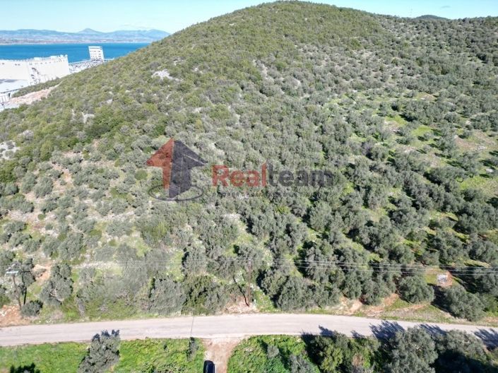 Image No.9-Property for sale