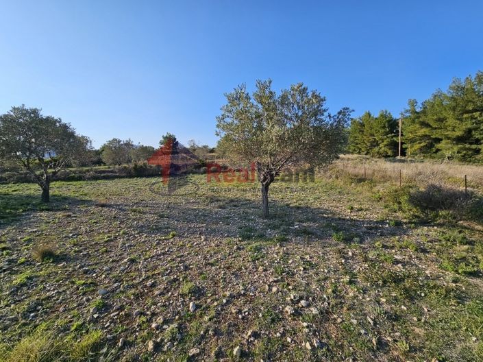 Image No.14-Property for sale