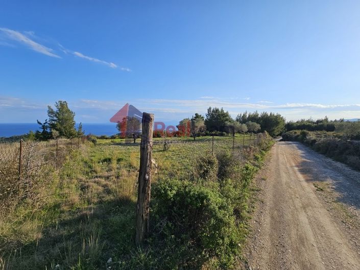 Image No.7-Property for sale