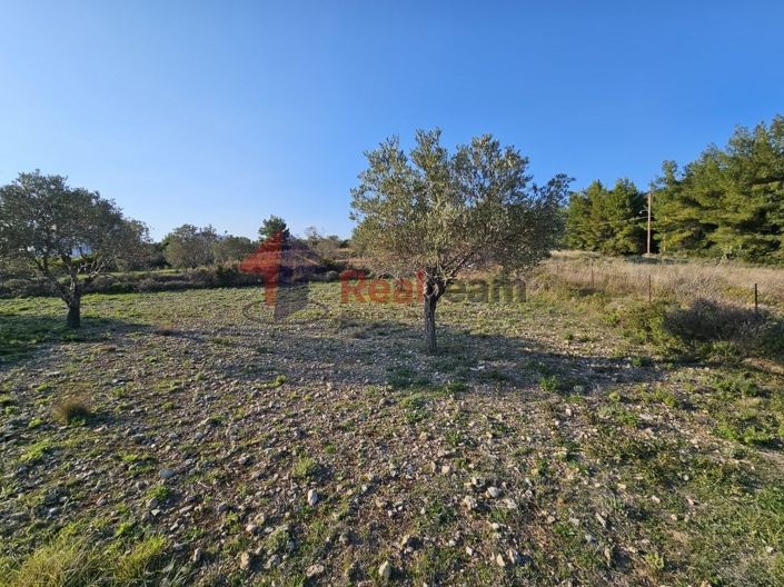 Image No.15-Property for sale