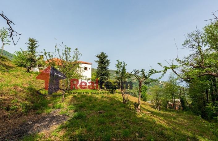 Image No.15-2 Bed Property for sale