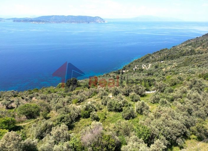 Image No.10-Property for sale