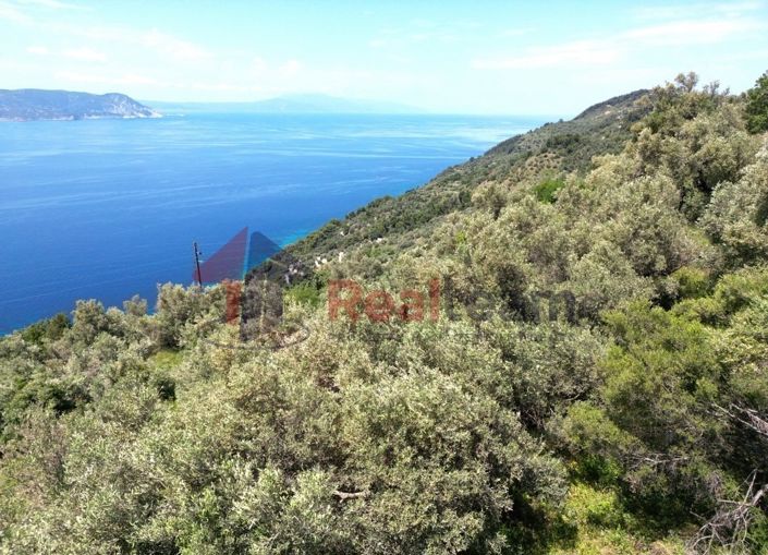 Image No.11-Property for sale