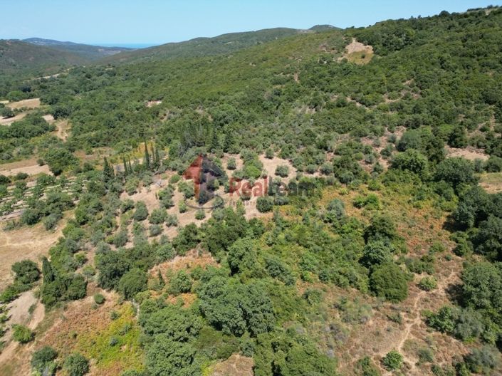 Image No.11-Property for sale