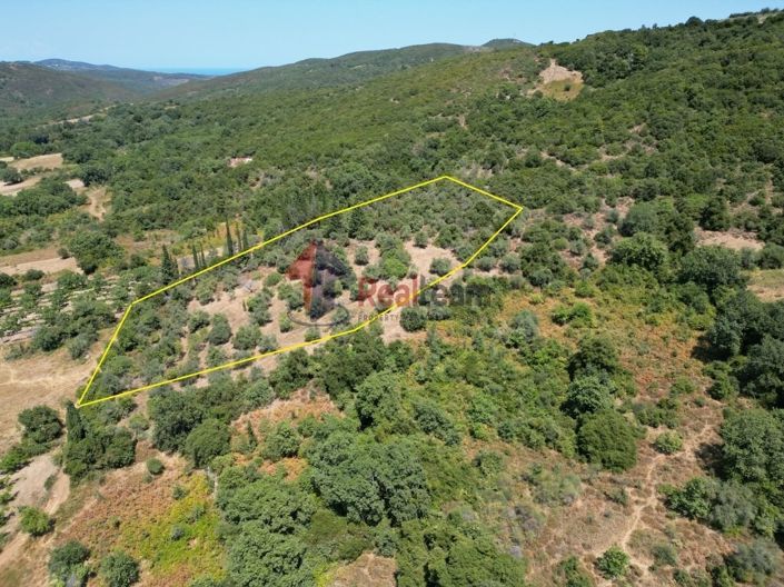 Image No.4-Property for sale