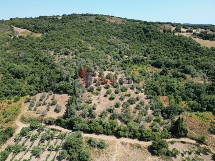 Image No.8-Property for sale