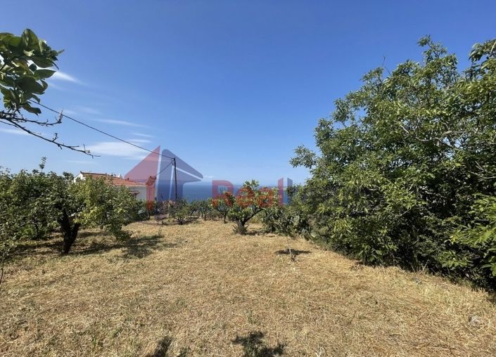 Image No.18-Property for sale