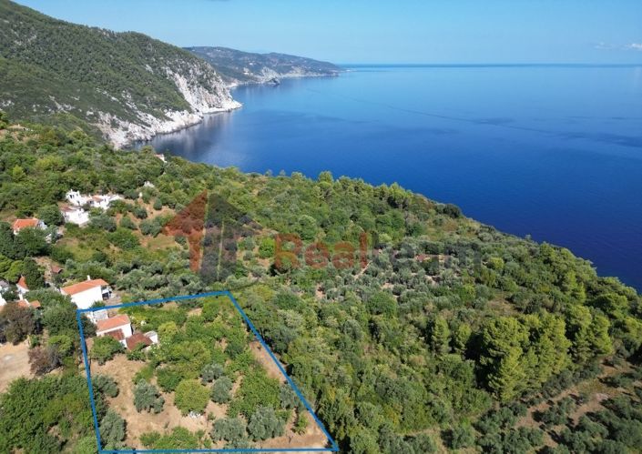 Image No.5-1 Bed Property for sale