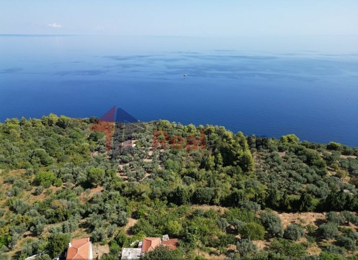 Image No.6-1 Bed Property for sale