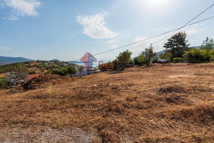 Image No.11-Propriété à vendre à Pteleos