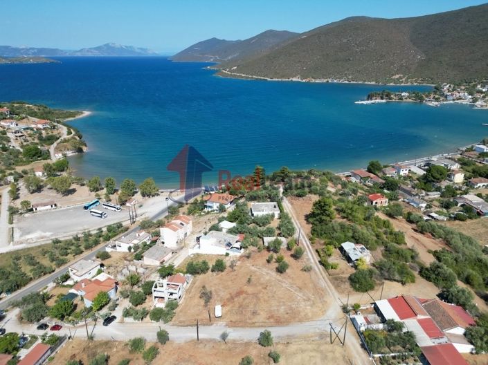 Image No.4-Propriété à vendre à Pteleos