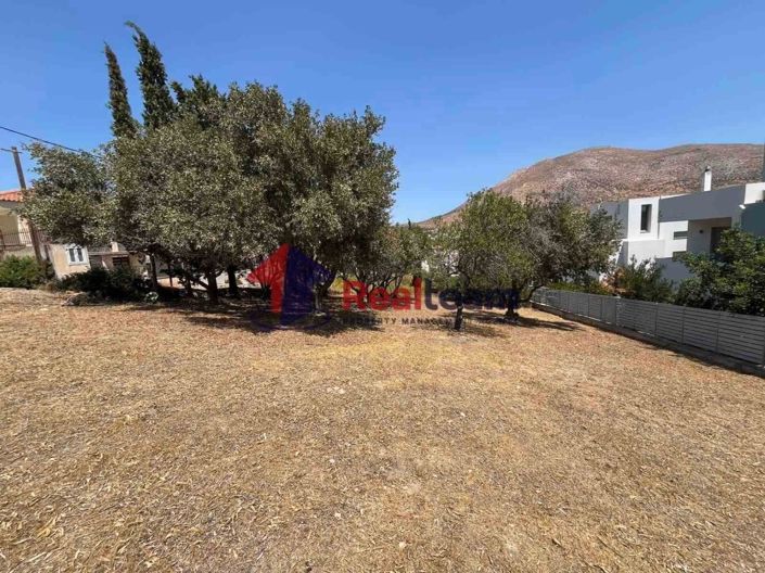 Image No.10-Property for sale