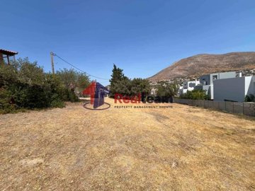 img194f8f59-c5c9-418d-9346-1f94a15201c6