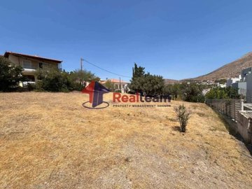 img6c2c2b89-13b9-49e0-a36a-3c79bea9c118