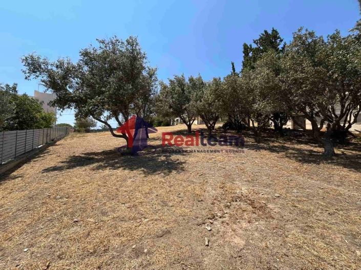 Image No.8-Property for sale