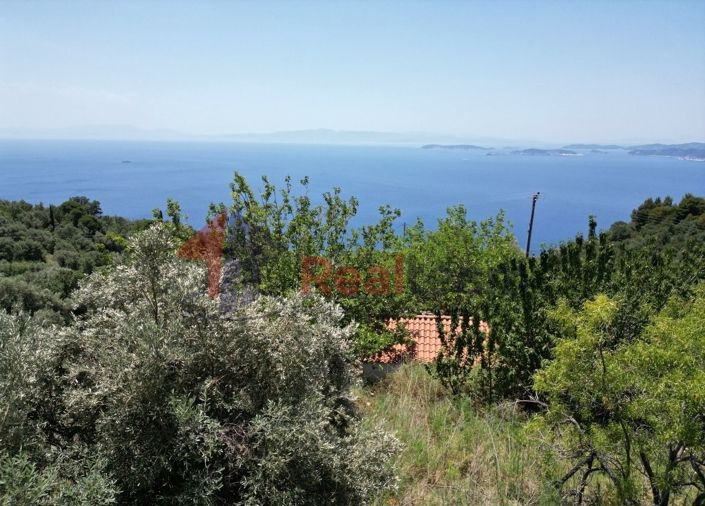 Image No.14-Propriété à vendre à Glossa