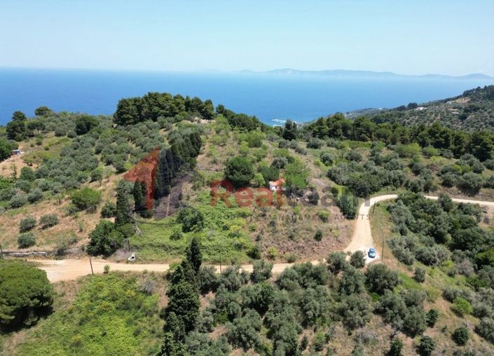 Image No.7-Propriété à vendre à Glossa