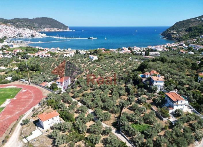 Image No.3-Property for sale