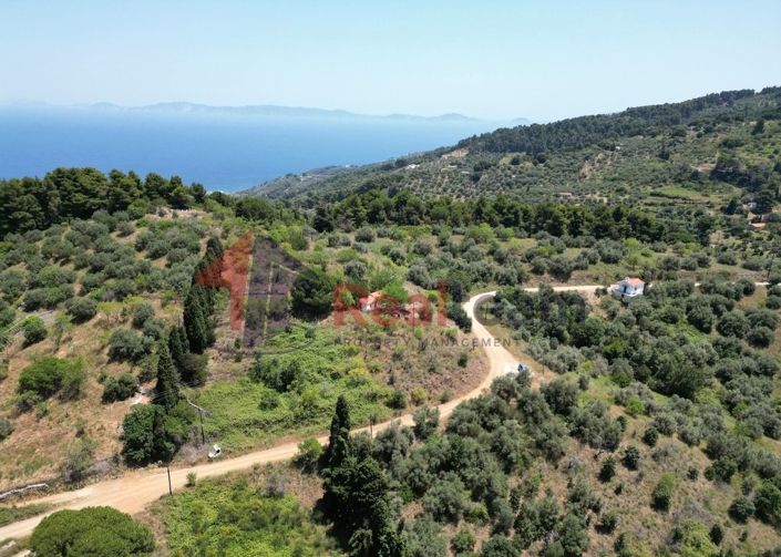 Image No.6-Property for sale